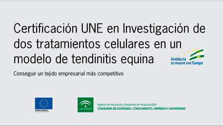 Proyecto innovador de implantación y Certificación UNE proyecto TendonTherapy